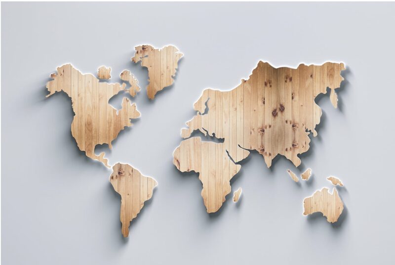 Wooden World Map