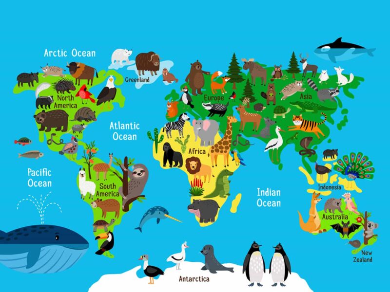 World map-animal illustration