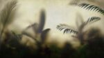 Tropical leaves behind frosted glass wallpaper 2