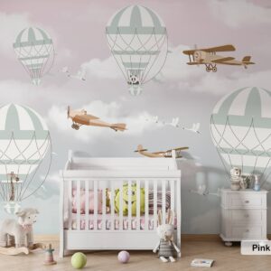 Hot Air Balloon and Gliders
