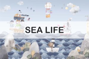 Sea Life