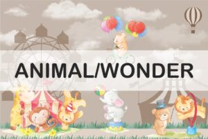 Animal Wonder