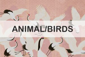 Animals / Birds