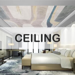 Ceiling